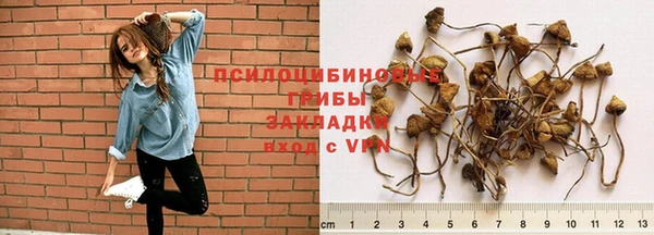 бутират Алексин