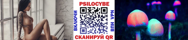 Галлюциногенные грибы Psilocybe Чапаевск