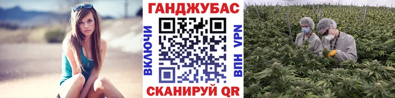 Канабис White Widow  хочу   Чапаевск 